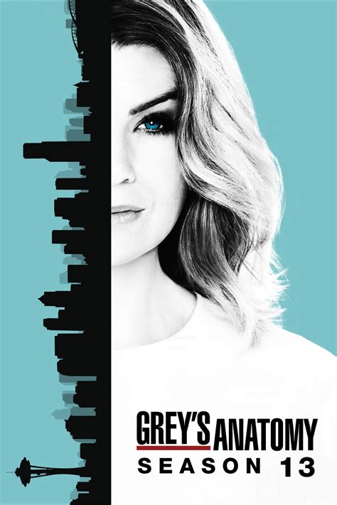 Watch Grey's Anatomy · Season 13 Full Episodes Online .